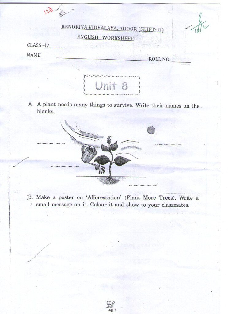 Kv Worksheets For Class 2 English Kendriya Vidyalaya Worksheets For 