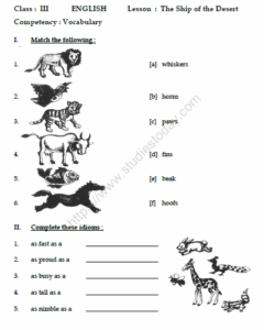Kv Worksheets For Class 3 English Pdf Eric Flannery 39 s English Worksheets