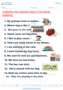 Noun Worksheets For Grade 2 English Shree Rsc Tutors