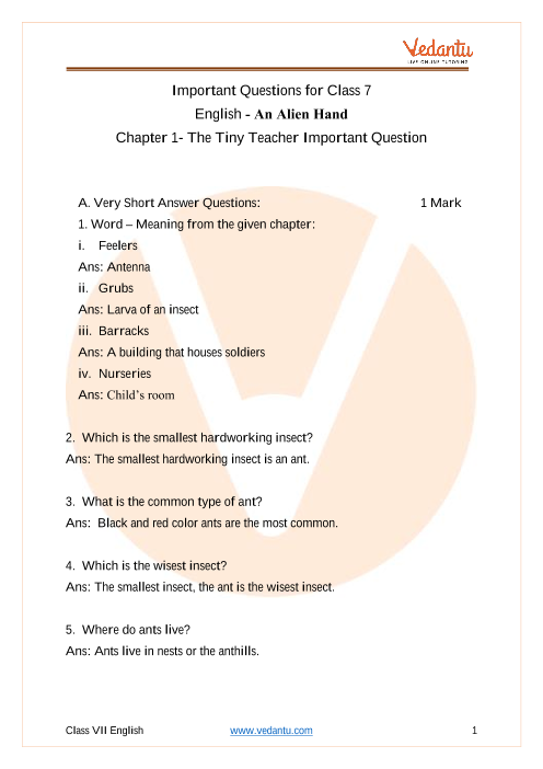 PDF Of Solved Important Questions For The Tiny Teacher Chapter 1 CBSE 