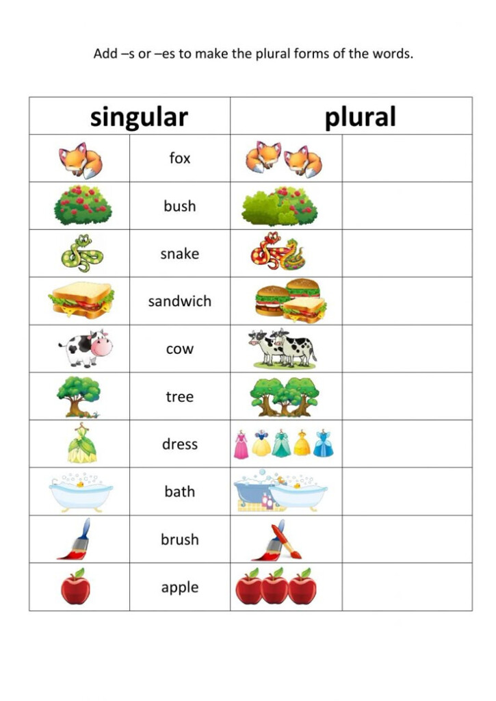 Plural And Singular Worksheet Grade 2