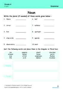 Pluralization Of Nouns Worksheets