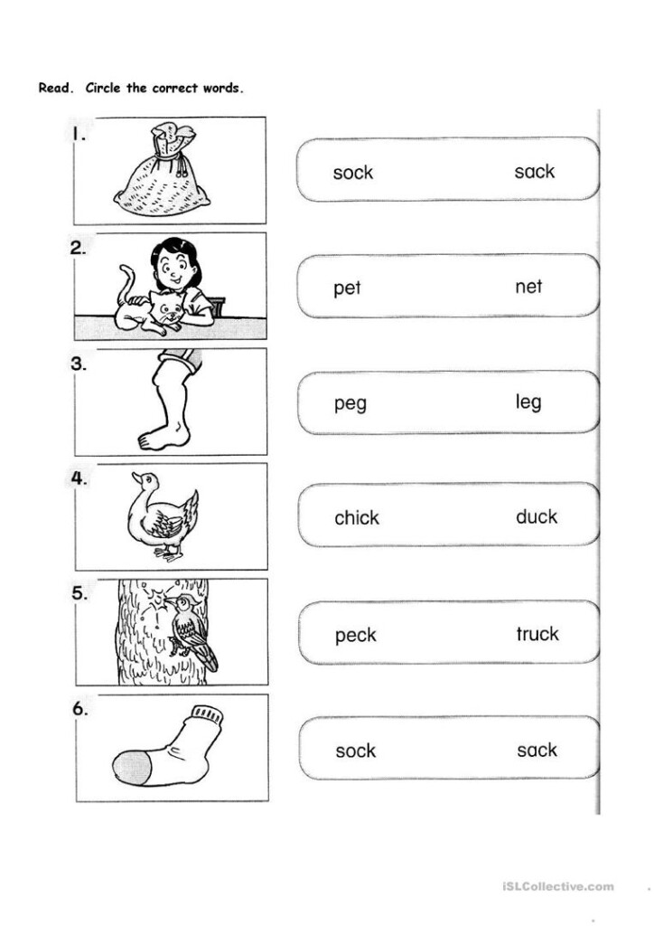 Primary 1 Worksheets Printables Lexia 39 s Blog