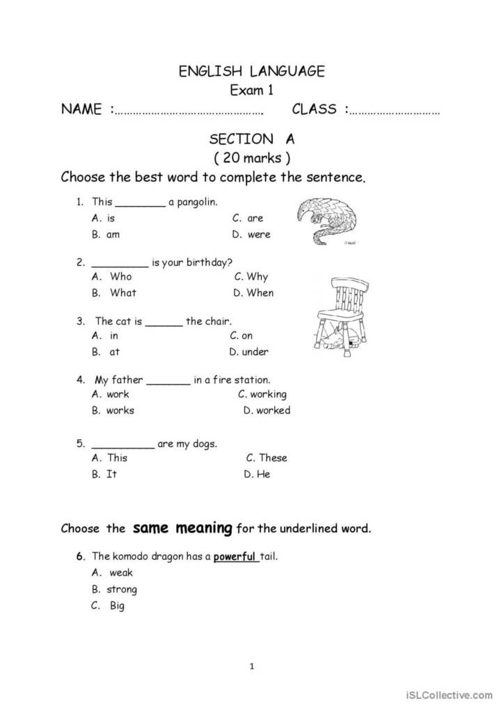 Primary 3 Exam Paper 1 English ESL Worksheets Pdf Doc