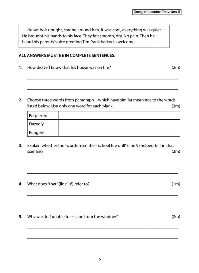Primary 6 English Comprehension Practice CPD Singapore Education 