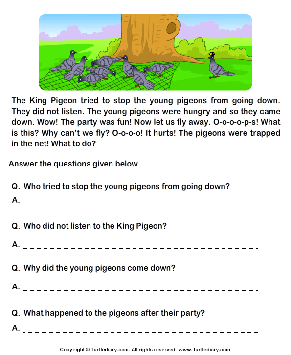 Read Comprehension Hunter And Pigeons And Answer The Questions Turtle 