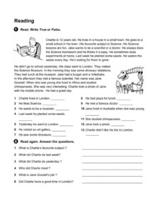 Reading Comprehension Questions Year 6 Reading Comprehension Worksheets