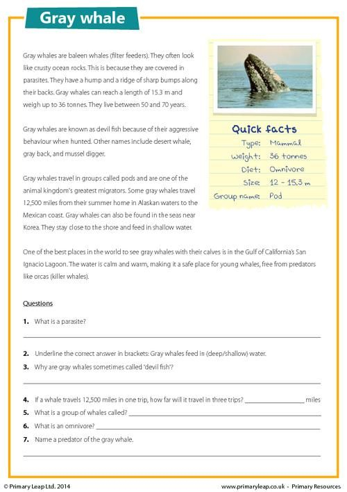 Reading Comprehension Year 3