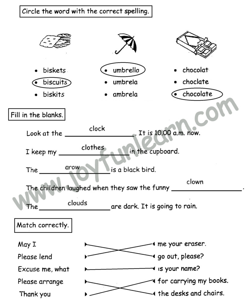 Standard 3 English Holiday Worksheets