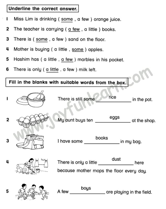 Standard 3 Grammar Exercises
