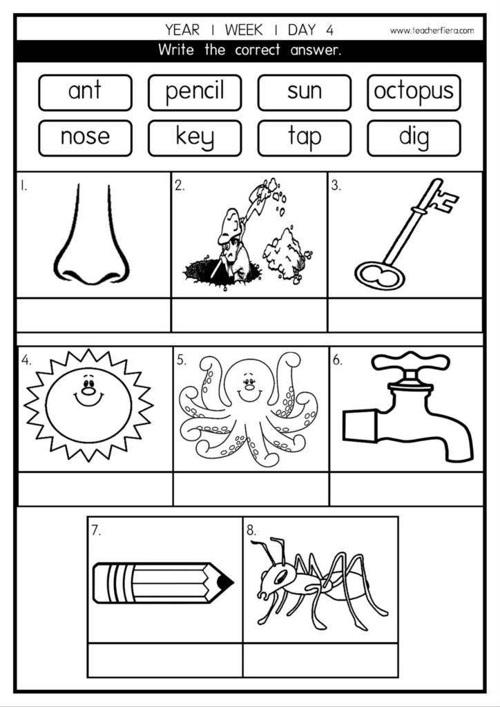 Teacherfiera YEAR 1 PHONICS LESSONS WEEK 1 