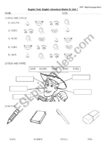 Test English Adventure B Unit 1 ESL Worksheet By Mariel 18