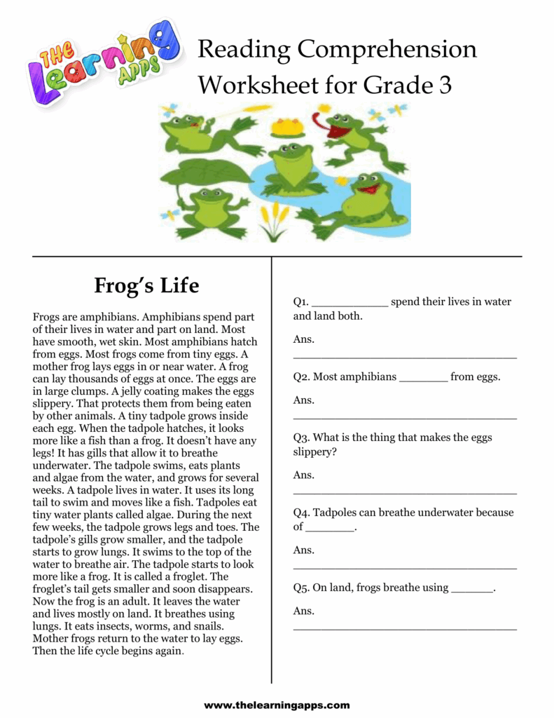 Third Grade Comprehension