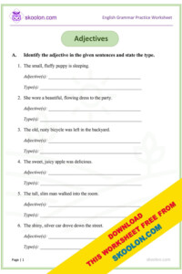Types Of Adjectives Worksheet For Class 3 Design Talk