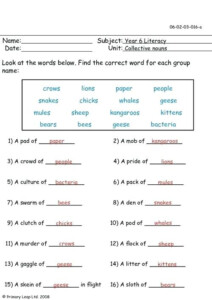 Types Of Noun Worksheet Grade 6