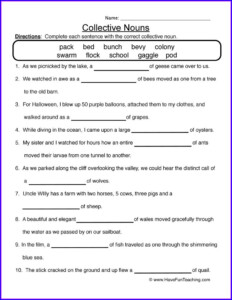 Worksheets On Nouns Grade 6