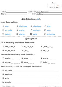 Year 5 English Spelling List 1