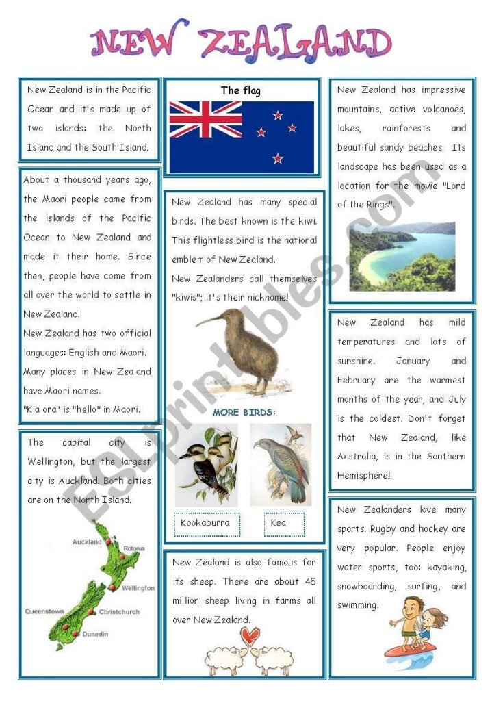 Year 6 English Worksheets Nz Kidsworksheetfun