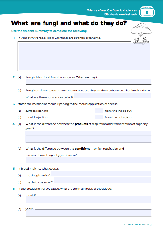 Year 6 Worksheets Let 39 s Teach Primary